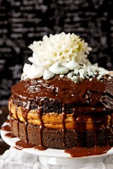Chocolate cake with cheesecake inside