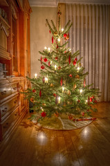 Fototapeta na wymiar Weihnachtsbaum