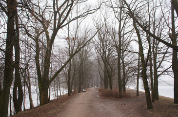 Naklejka premium Landscape path between frozen lake in misty park in winter or late fall