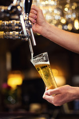 Bartender pouring the fresh beer in pub,barman hand at beer tap pouring a draught lager beer,beer from the tap,Filling glass with beer,fresh beer,pub.Bar.Restaurant.European bar.American bar.
