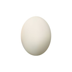 Egg on a white background. Natural ecological product.