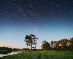 Fototapeta na wymiar Night sky with stars over trees