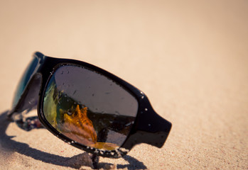 conch shell refects in sunglasses 