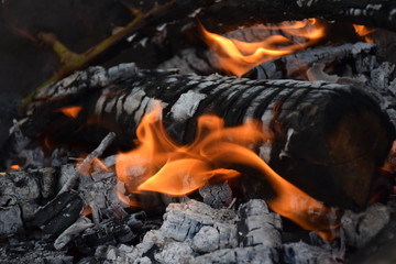 Feuer mit verkohltem Holzscheit