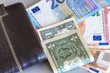 business concept/leather purse, euros and one dollar