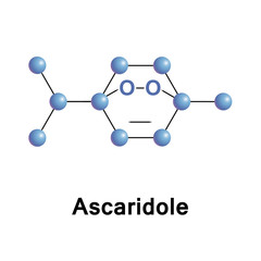 Ascaridole is a bicyclic monoterpene that has an unusual bridging peroxide functional group. It is used as an anthelmintic drug that expels parasitic worms from plants, domestic animals and the humans