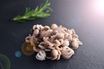 Raw baby octopus on dark stone background.