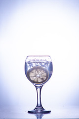 slice of lemon drops in a glass of water