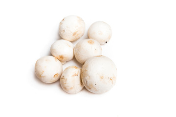Champignon mushroom family isolated on white background