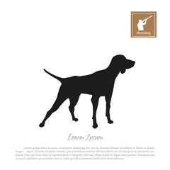 Black silhouette of a hunting dog on a white background