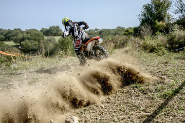 derapata mx