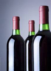 Rotwein