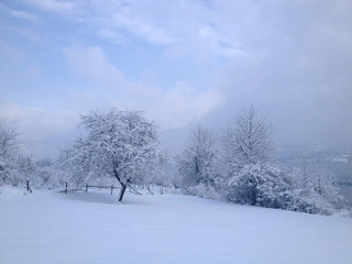 Fototapeta na wymiar Winter landscape with snow