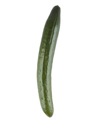 fresh green cucumber on a white background