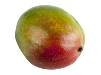 Fresh mango on a white background
