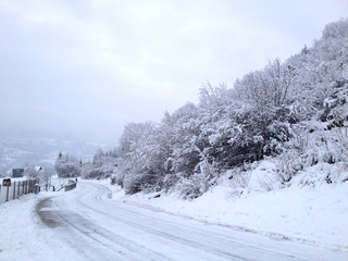 Winter landscape with snow