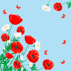 Red poppy and white chamomile illustration. Vector flower with butterfly on blue