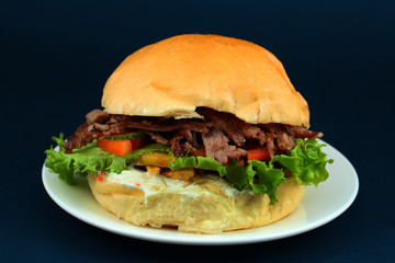 Fast food. Hamburger on plate.