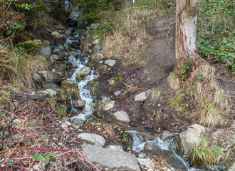 Lincoln Park Stream