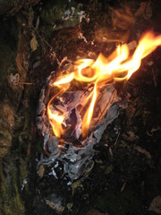 nature fire