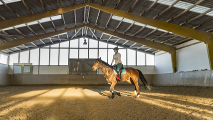 Junge Reiterin trabt mit Hannoveraner Pferd in der Reithalle