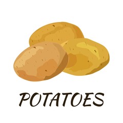 Potato. Flat design. Vector illustration. Ripe vegetable for Your ideas.