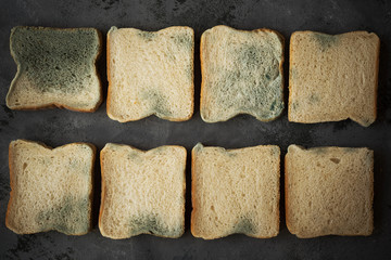 Moldy bread.Toast slices with fungus.spoiled food.Overhead view