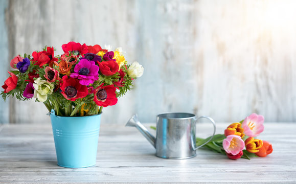 Fr&uuml;hling: Anemonen, Fresien und Tulpen im blauen Topf
