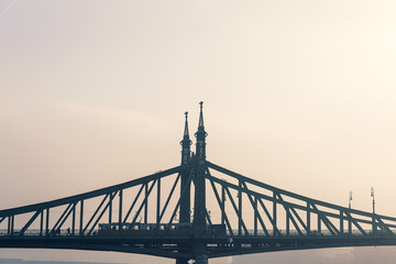 Distant view of Liberty or Freedom bridge over Danube river, Budapest, Hungary, Image is toned