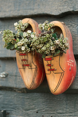 Wooden shoes