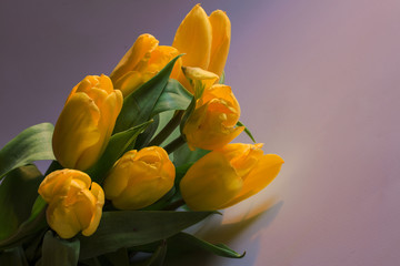 Romantic spring bouquet of beautiful decorative yellow tulips