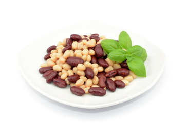 fasola konserwowa biała i czerwona 