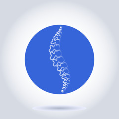 Human spine isolated on a white background. Vector illustration. Blue silhouette of spine.  symbol of diagnostic. Vector. human spine silhouettes. Spine.Logo element