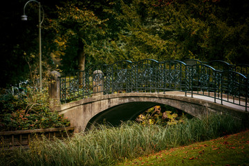 Fototapeta premium A day in the park with nature and sun