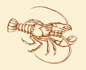 Crayfish. Vector drawing