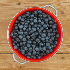 Close-up view of a pile of blueberries in vintage red colander on old wooden floor. Studio photography.
