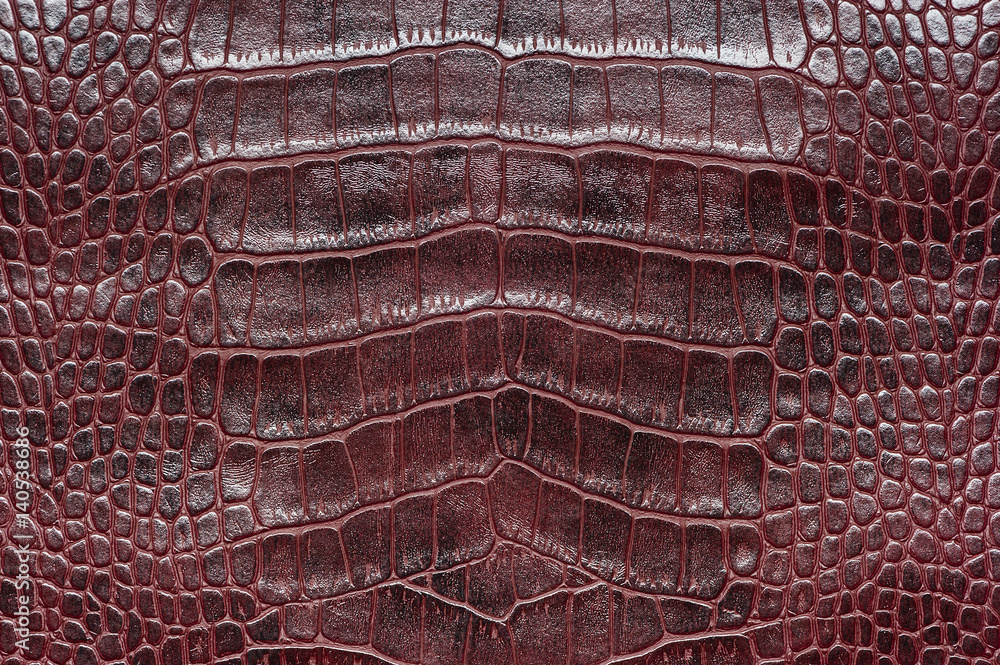 Wall mural crocodile leather for manufacturing of luxury shoes, clothes, bags and other fashion accessories, hi