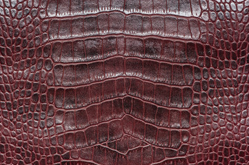 Crocodile leather for manufacturing of luxury shoes, clothes, bags and other fashion accessories,...