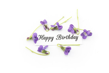 Happy Birthday Card with Violets