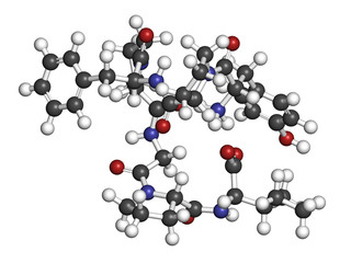 Beta-casomorphin peptide 7 molecule. Breakdown product of casein that may play a role in human diseases. 3D rendering. Atoms are represented as spheres.