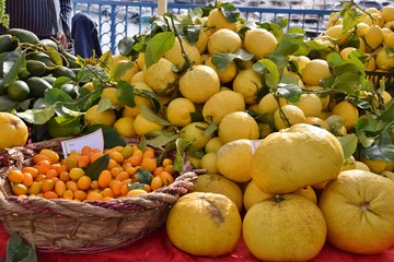 varietà di agrumi