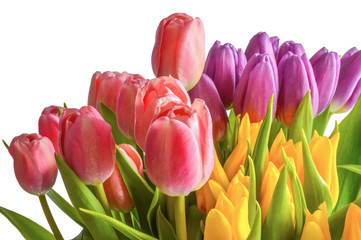 Spring bouquet. The image is isolated.