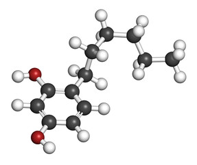 Hexylresorcinol molecule. Has anaesthetic, antiseptic and anthelmintic properties. 3D rendering.