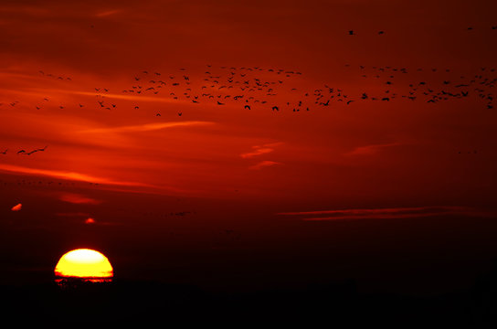 sunset over the lake