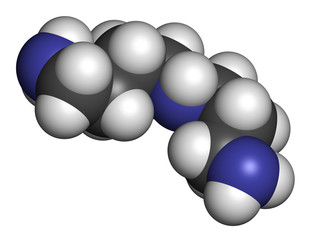 Spermidine molecule. 3D rendering. Atoms are represented as spheres with conventional color coding.