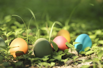 Colorful Easter eggs in nature.Easter concept background.