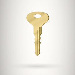 Gold metal key on a grey background.