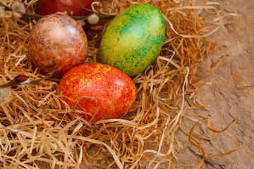 Easter eggs in nest