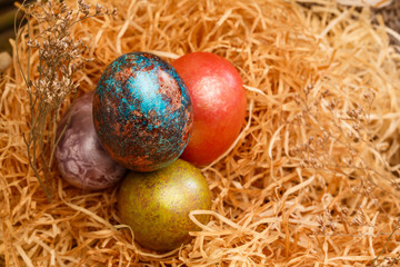 Easter eggs in nest