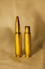 Bullet with Vertical Casing